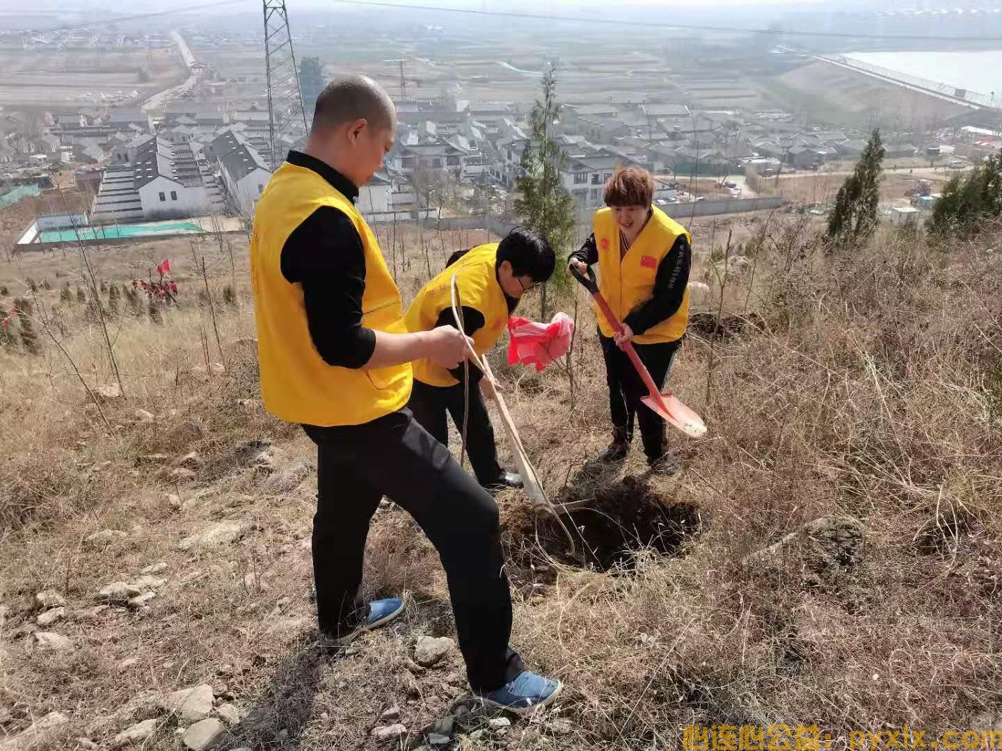 水浥田园第二 届植树节“和小树一起成长”活动(图3)