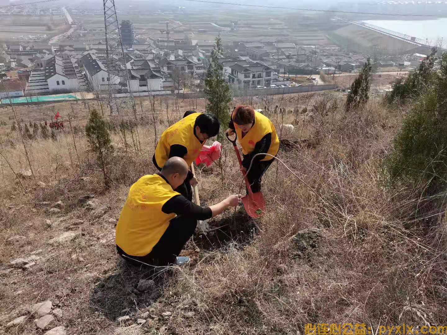 水浥田园第二 届植树节“和小树一起成长”活动(图2)