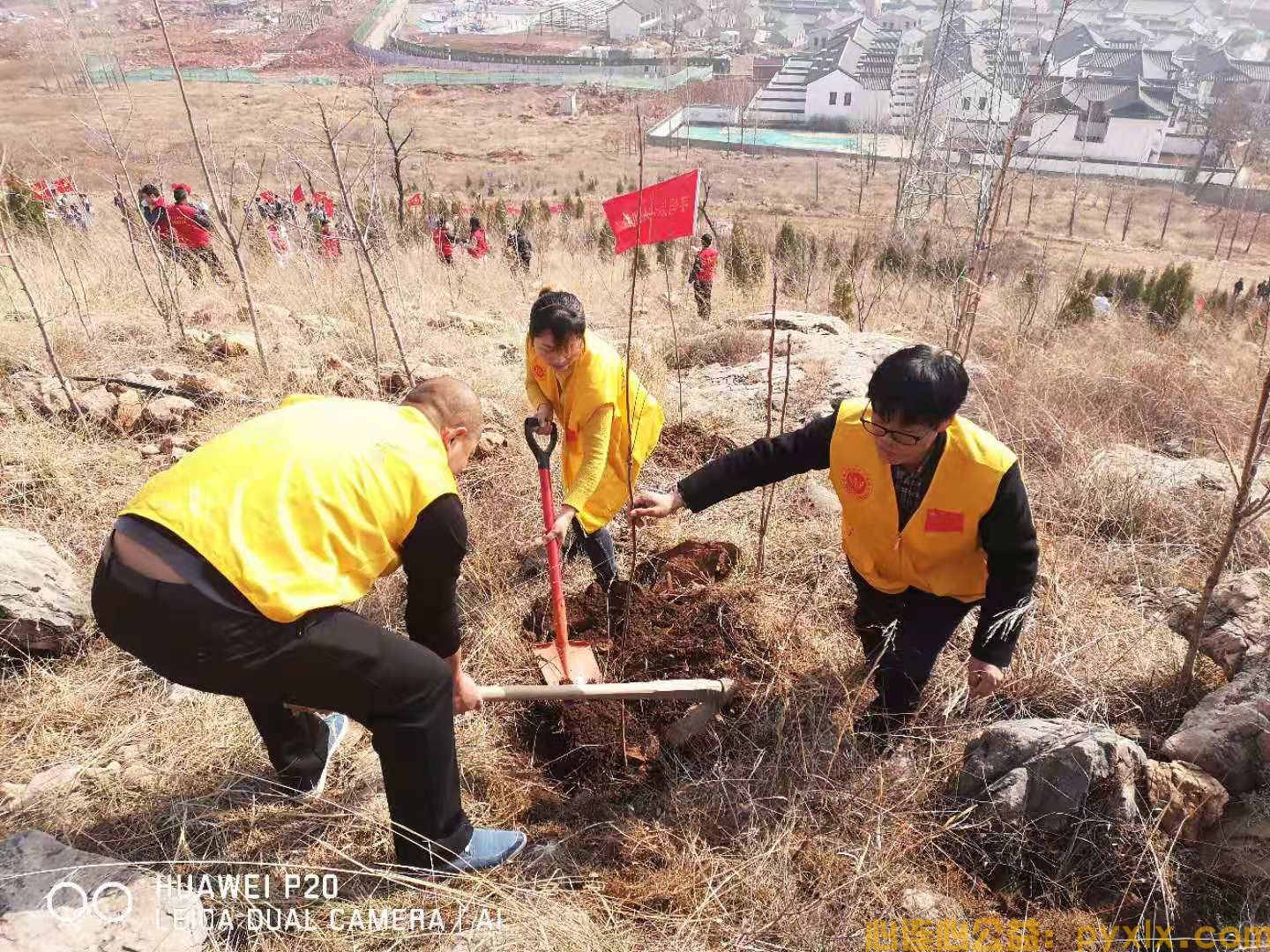 水浥田园第二 届植树节“和小树一起成长”活动(图4)