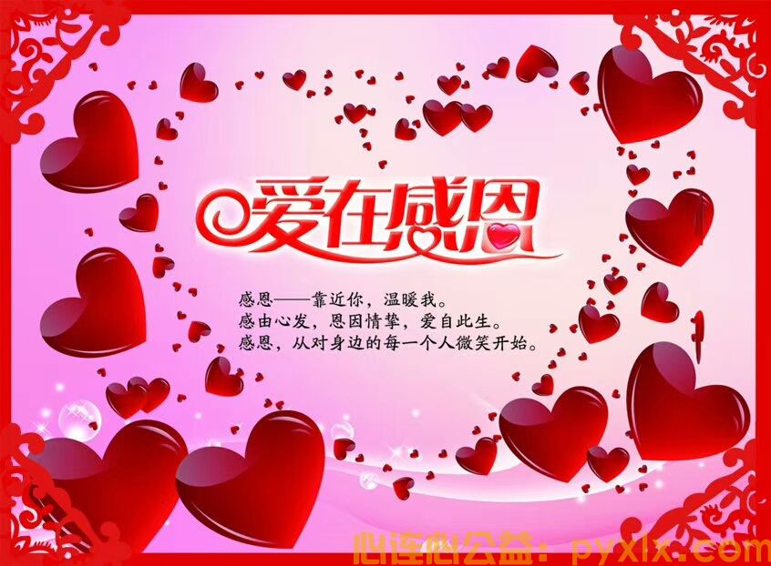 新年献礼~平邑县心连心助学走进地方天宝、铜石、郑诚、白彦镇(图19)