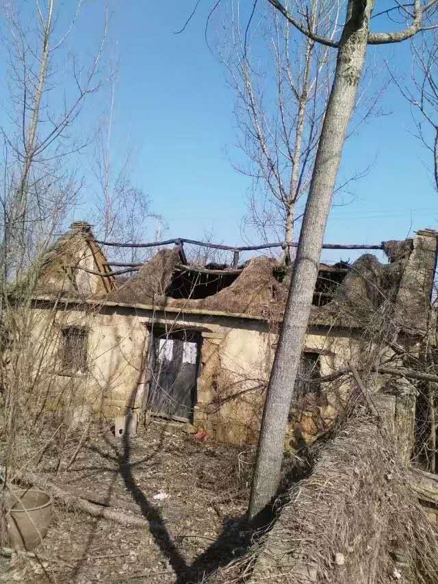 共青团平邑县委发起"圆梦行动"助力大学生活动(图19)