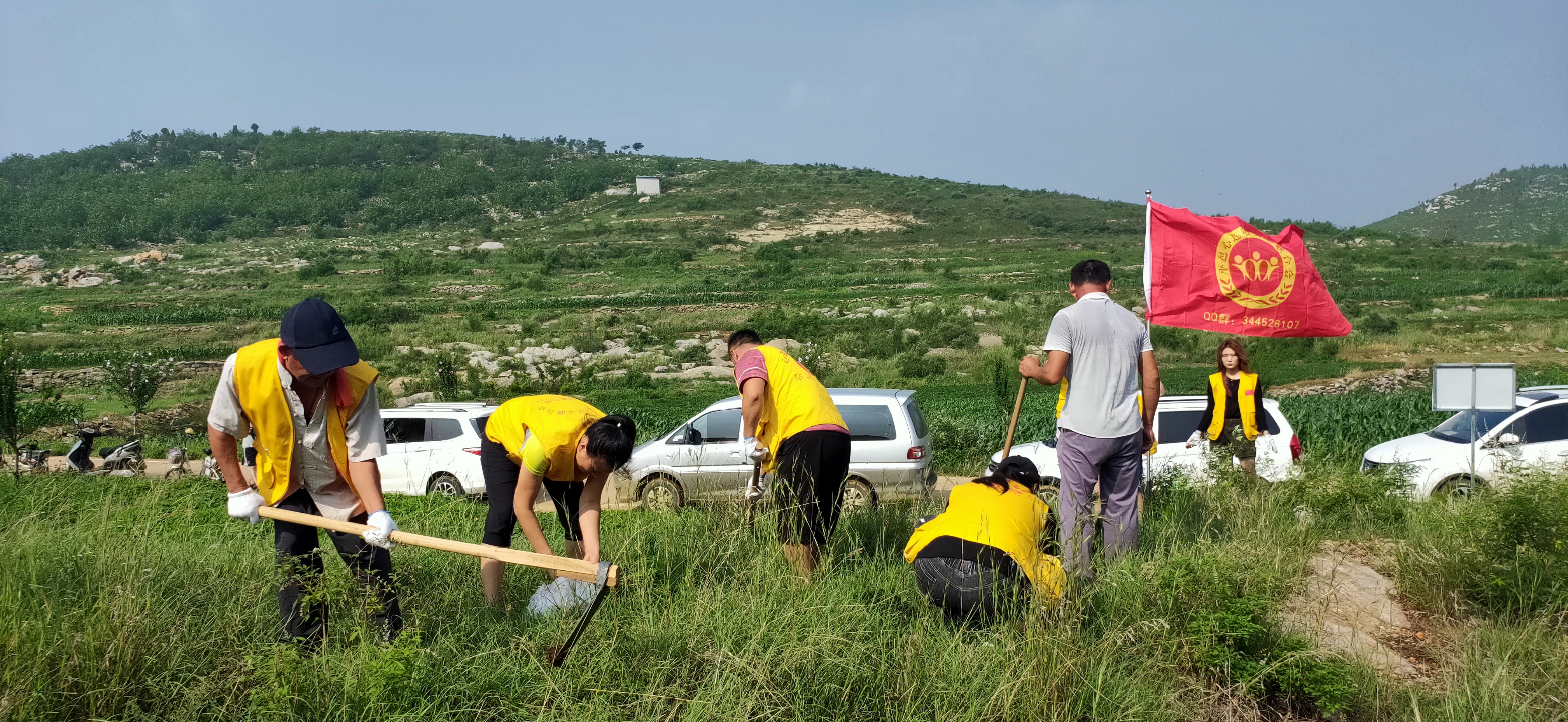 【新时代文明实践】雨季植树造林(图4)