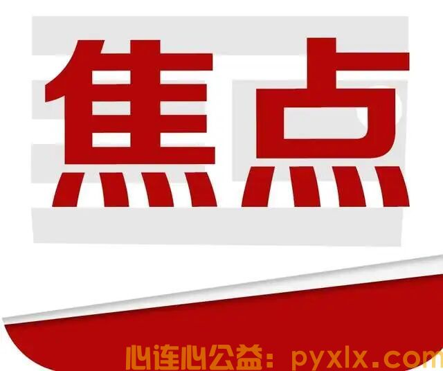 平邑助农鲜桃滞销，两家公益组织联手抢收，化解果农燃眉之急